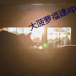 大菠蘿福建app免費入口