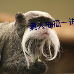 真人抽搐一进一出 初级小学）