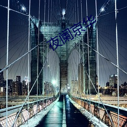夜阑京华