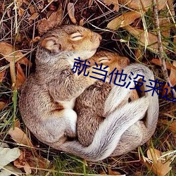 就当他没来过