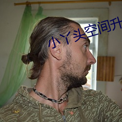 小丫头空间升级记