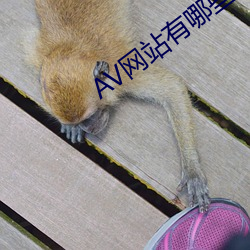 AV网站(站)有(有)哪(哪)些(些)