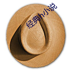 经典h小说
