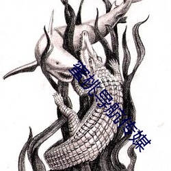 蜜桃导(dǎo)航传媒(méi)