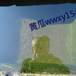 黃瓜wwxy15app