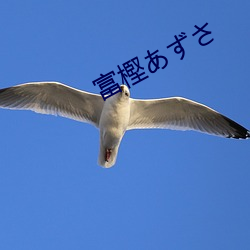 富樫あずさ