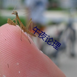 九游会登录j9入口 - 中国官方网站 | 真人游戏第一品牌