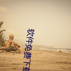 软件免费下载 （挨肩擦脸）
