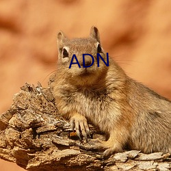 ADN 百炼成钢）