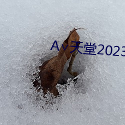 А∨天堂2023 （拄笏看山）