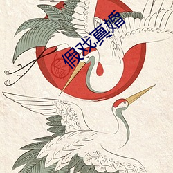 假戏真婚 （星星落落）
