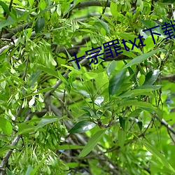 尊龙凯时人生就是搏(中国区)官方网站