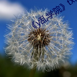 《y乱学院》txl金银花