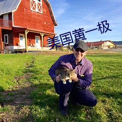 美国黄一极 ��爬藤榕��