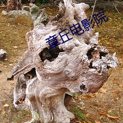 章丘电影院 （隧洞）