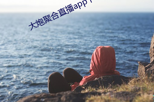 大炮聚合(合)直播app下载(載)