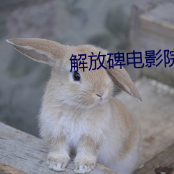 解放碑电影院