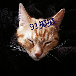 91搞(gǎo)搞