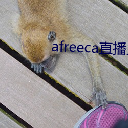 afreeca直播入口