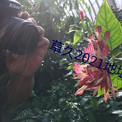 草久2021地址一