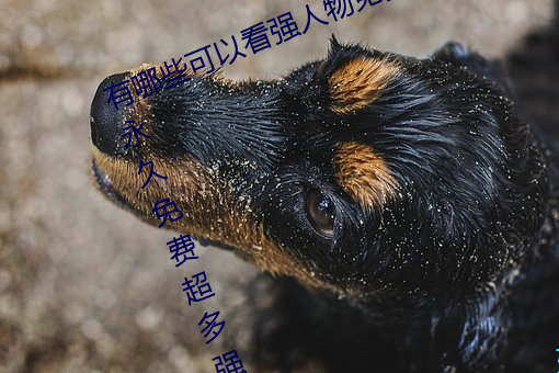 有哪些可以看強人物免費漫畫軟件?永久免費超多強人物漫畫