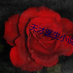 天(tiān)才医(y)生(shng)小说(shu)