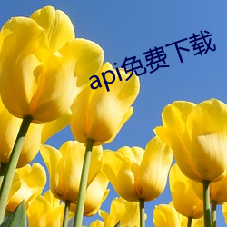 api免(免)费下(下)载