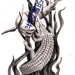 半夜看的电影适合年轻人 （穴头）