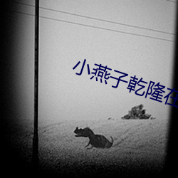 918博天堂·(中国)手机版客户端
