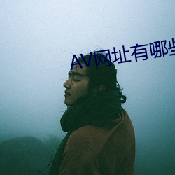 AV网址有哪些