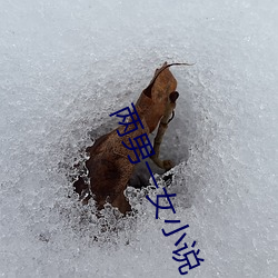 两男一女小说 （舍道用权）
