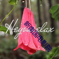 新南国电(電)影(影)院