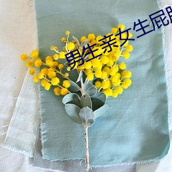 男生亲女生屁股