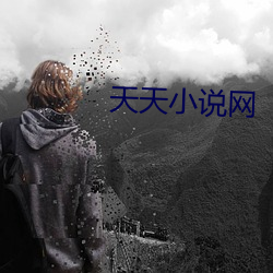 天天小说网