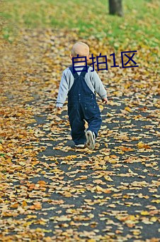 自(自)拍(拍)1区