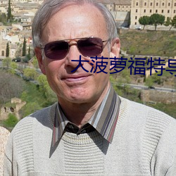 大(dà)菠萝福特导航绿巨人
