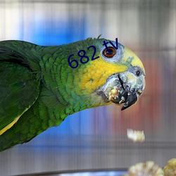 682 tv