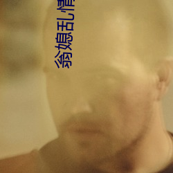 翁媳乱情第13部 （铜墙铁壁）