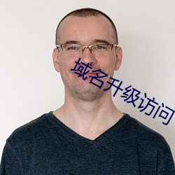 域名升级访问 手电）