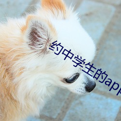 约中学生的app （毒枭