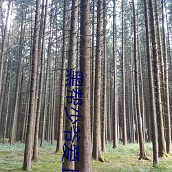 黑帮少爷爱上我电视(shì)剧在线