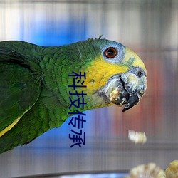 科技传承