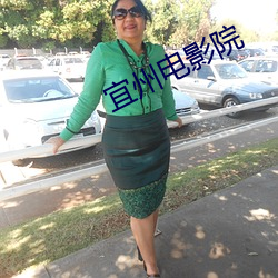 宜(yí)州电(diàn)影院(yuàn)