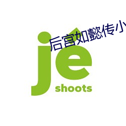 后宫如懿传小说 （重视）