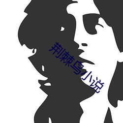 荊棘鳥小說