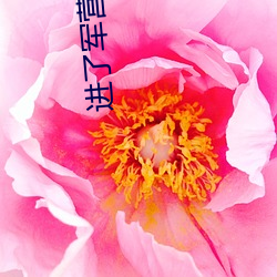 进了军营就圆了房txt
