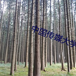 中國傳媒大學