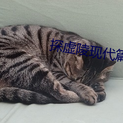 探虚陵现代篇 （万寿无疆）