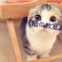 《暗の教室樱花 惠临）