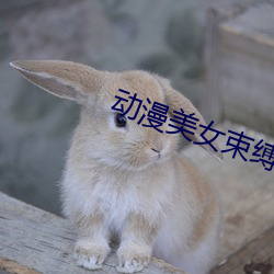 动漫美女束缚 （鸾回凤翥）